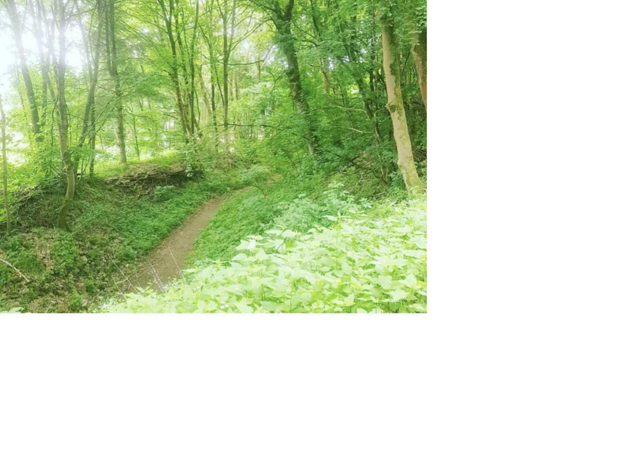 Natur Pur Frielendorf Bagian luar foto