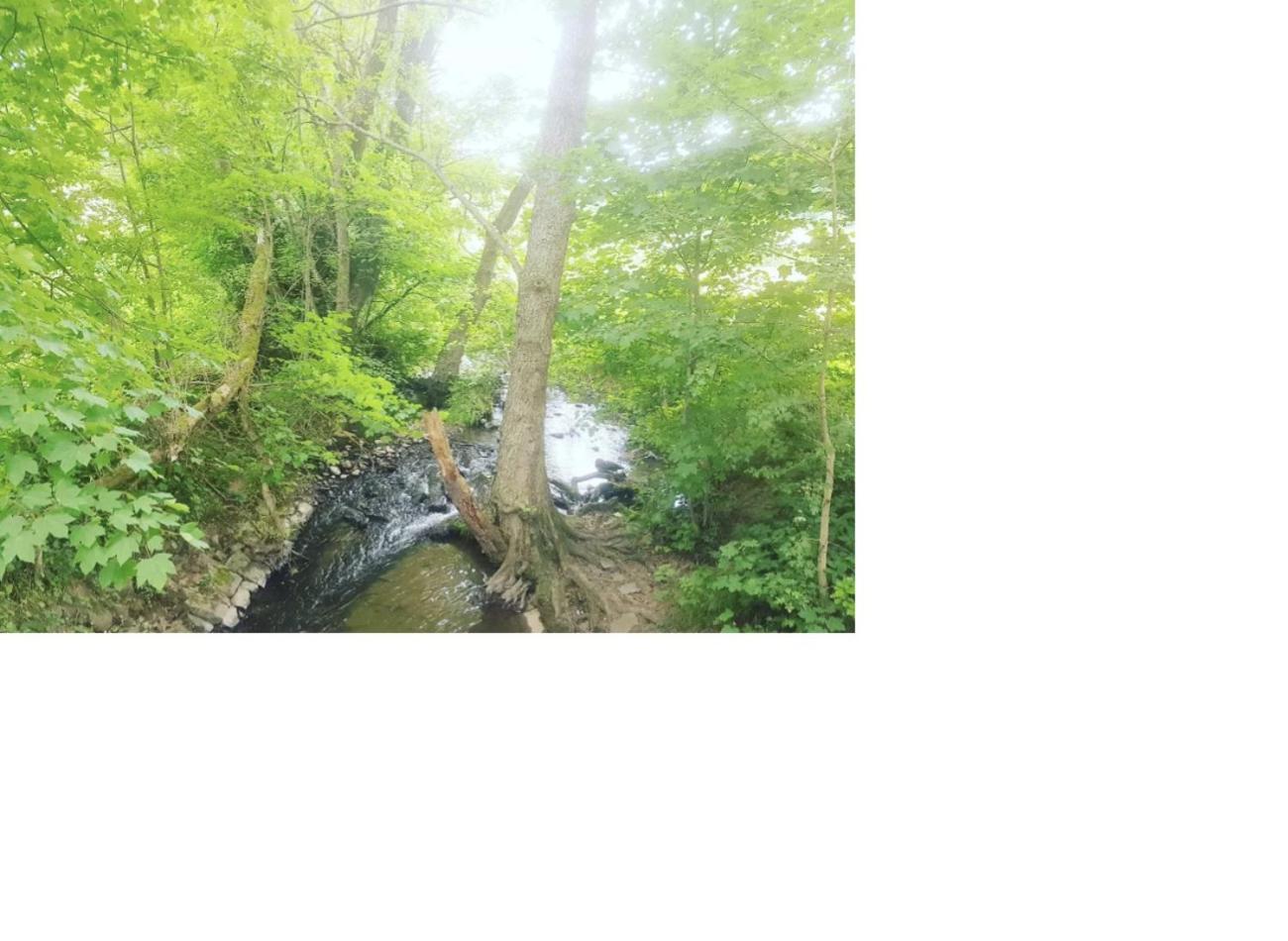 Natur Pur Frielendorf Bagian luar foto