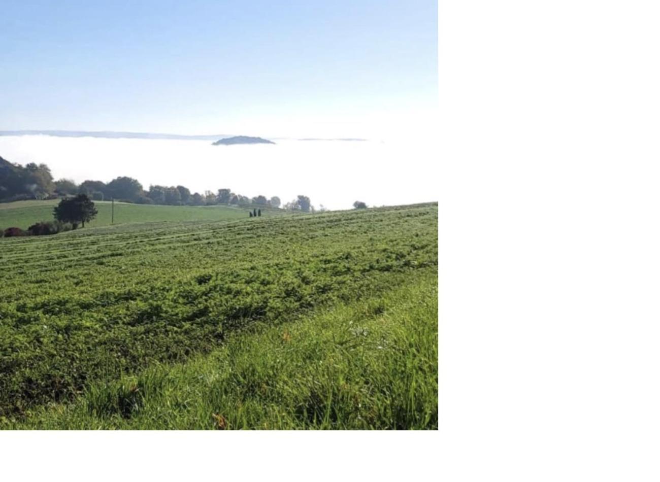 Natur Pur Frielendorf Bagian luar foto