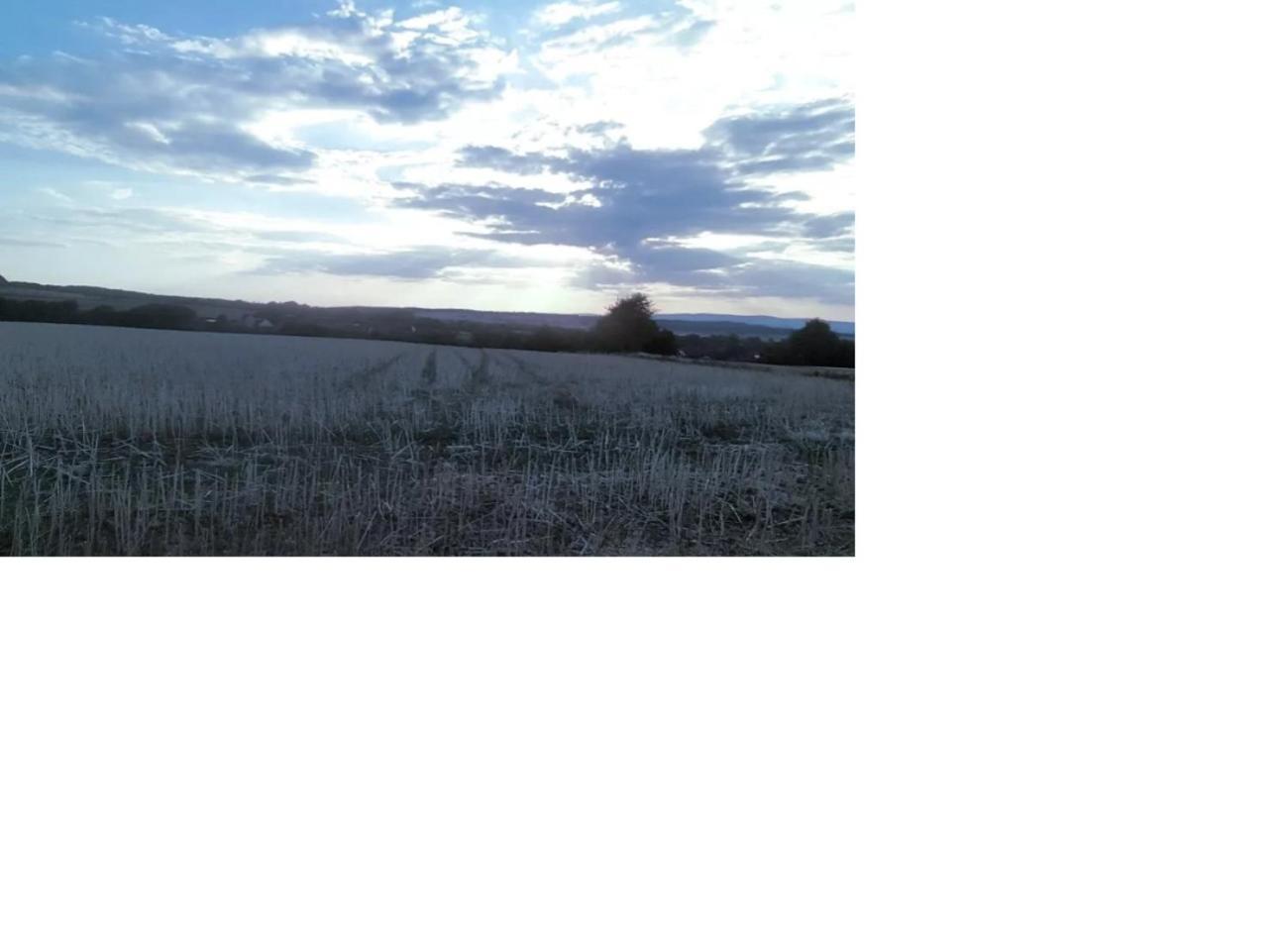 Natur Pur Frielendorf Bagian luar foto