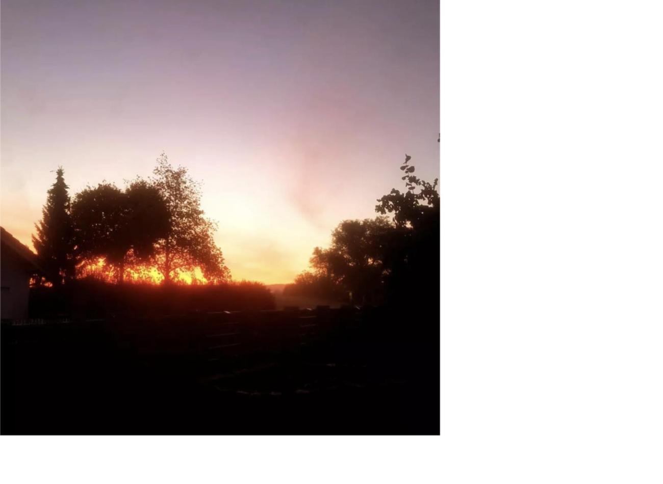 Natur Pur Frielendorf Bagian luar foto