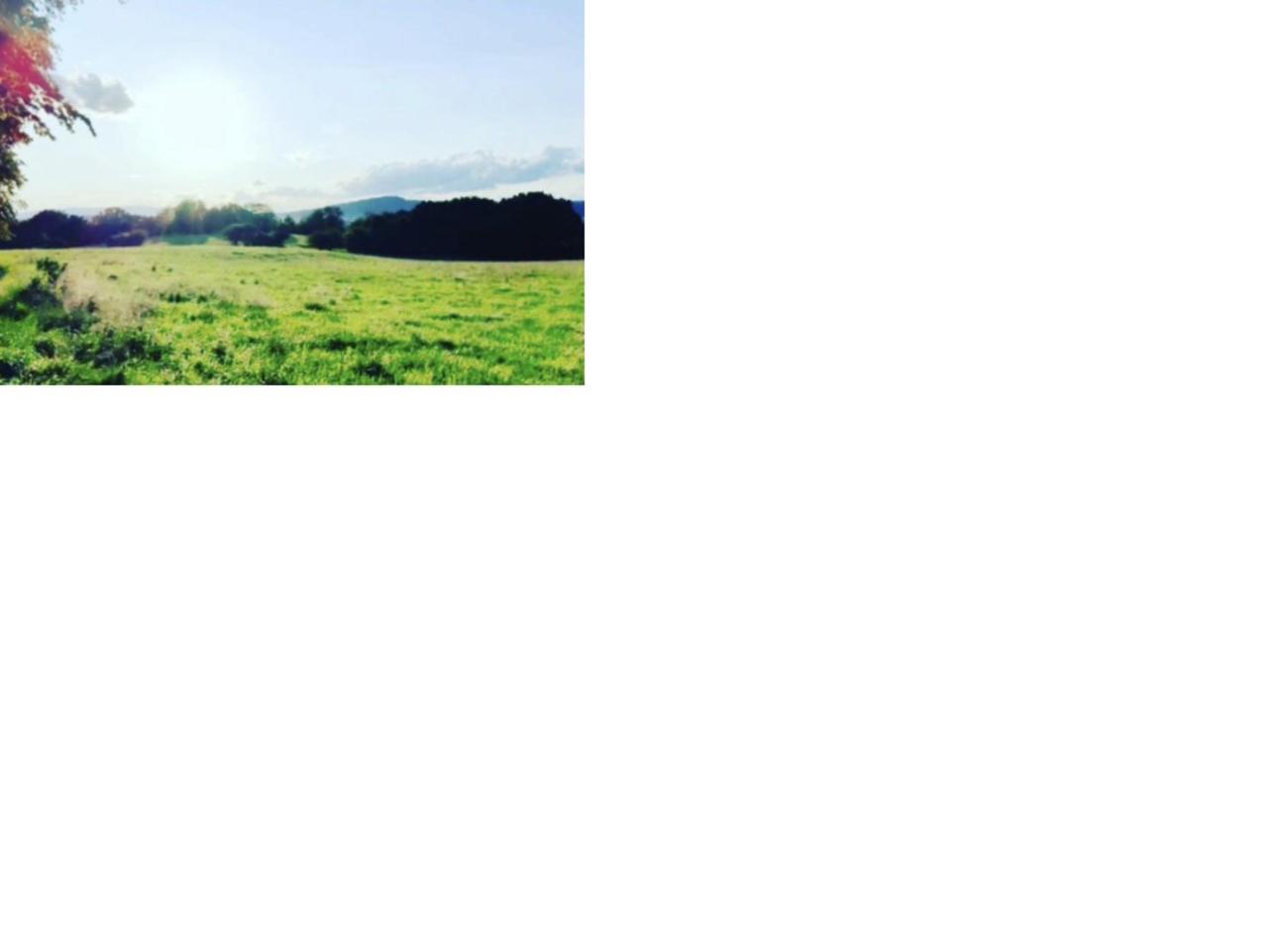 Natur Pur Frielendorf Bagian luar foto